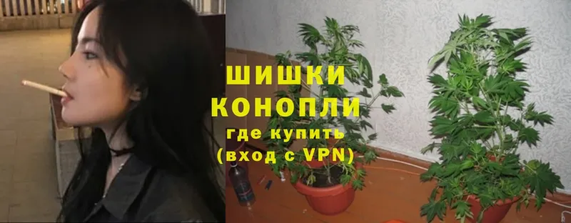 блэк спрут как зайти  где купить наркотик  Дубна  Канабис OG Kush 